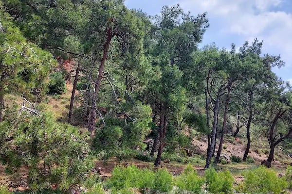 Adalar trekking parkuru - Resim 12