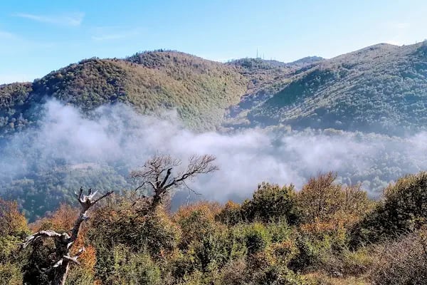 Suadiye Tabiat Parkı - Resim 5