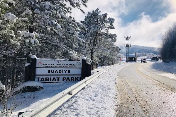 Suadiye Tabiat Parkı - Resim 2