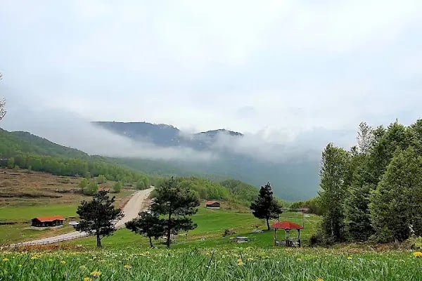Suadiye Tabiat Parkı - Resim 6