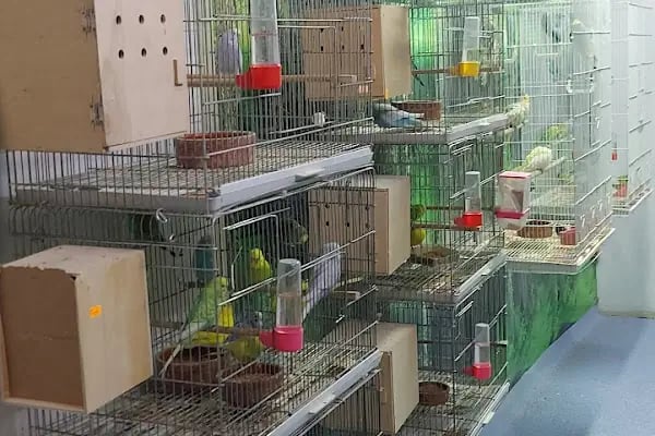 Şifa petshop. Tuzla - Resim 2