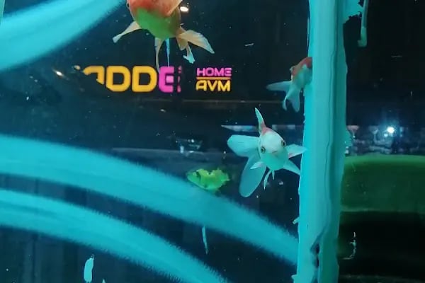 Şifa petshop. Tuzla - Resim 13