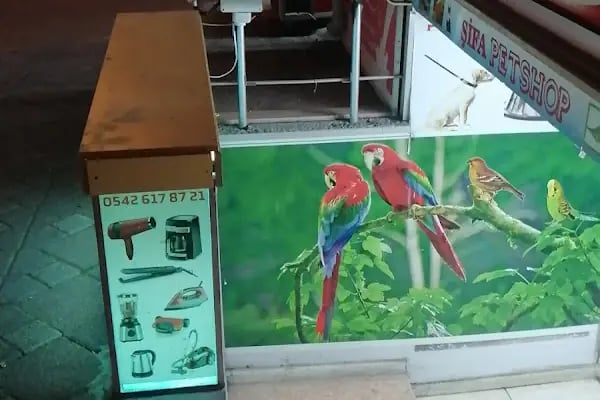 Şifa petshop. Tuzla - Resim 9