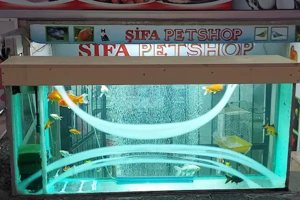 Şifa petshop. Tuzla - Resim 10