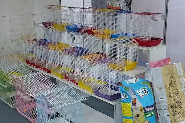 Şifa petshop. Tuzla - Resim 6