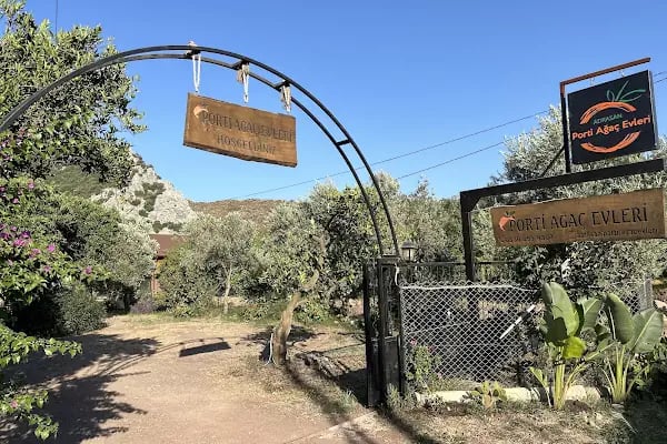 Adrasan Porti Ağaç Evleri - Resim 20