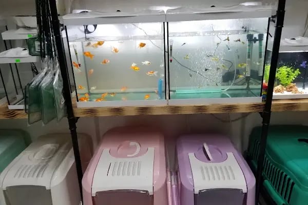 LimonPetshop - Resim 7