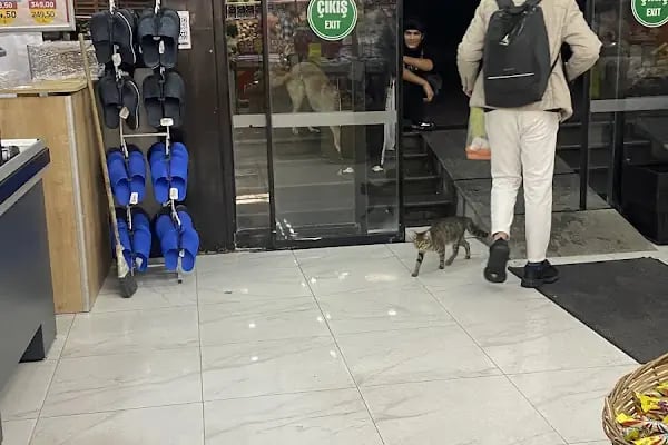 SHOW Market Batışehir - Resim 2