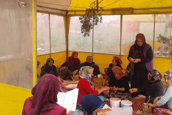 Değirmencik Köyü Muhtarlığı - Resim 1