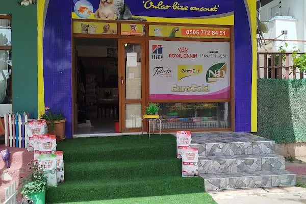 Green petshop - Resim 7