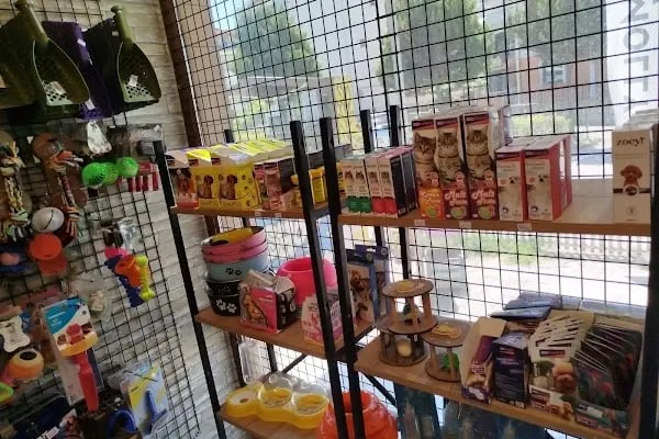 Green petshop - Resim 6