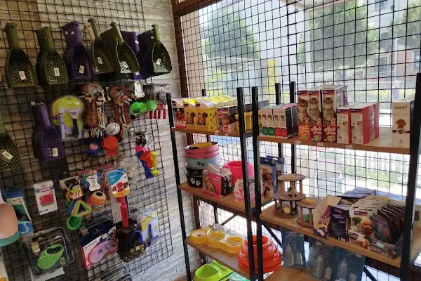 Green petshop - Resim 10