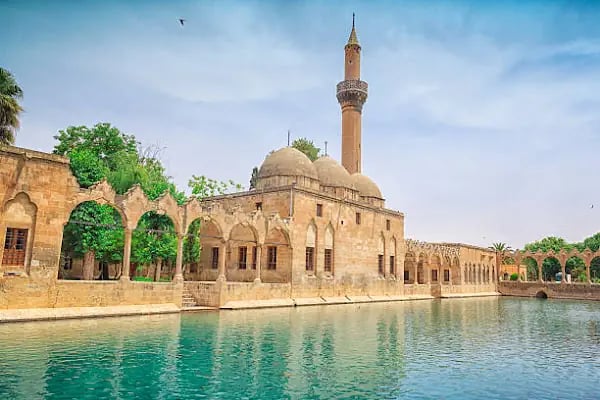 Urfa Sıra Gecesi - Resim 19