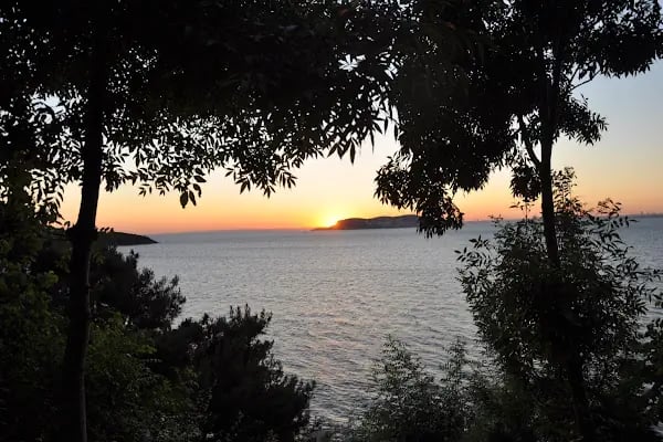 Değirmenburnu Tabiat Parkı (Mesire Yeri) - Resim 4