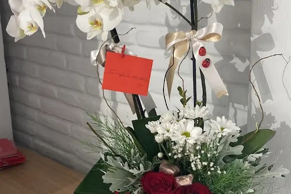 Gala Çiçek - Resim 15