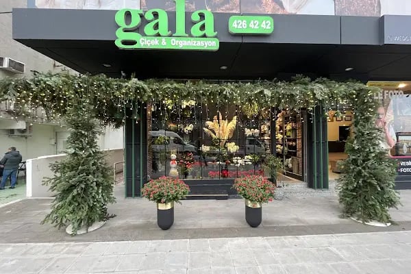 Gala Çiçek - Resim 17