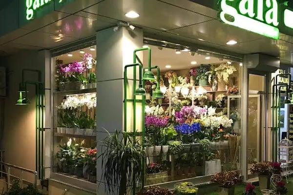 Gala Çiçek - Resim 9