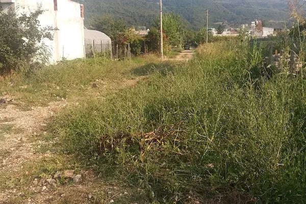 Kumsaz Süleyman Çelebi Cami - Resim 9