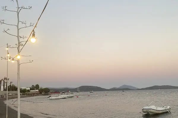 DAYI BALIK SAHIL RESTAURANT - Resim 7