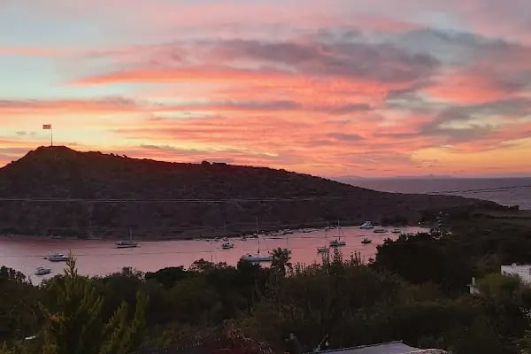 Bitez Cafe &amp; Restaurant - Bodrum Belediye A.Ş. - Resim 5