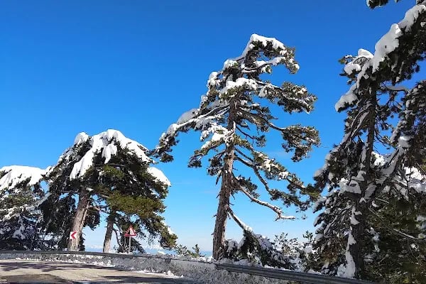Saklıkent Kayak Merkezi - Resim 16