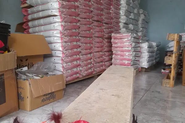 ELFİDA PETSHOP - Resim 4