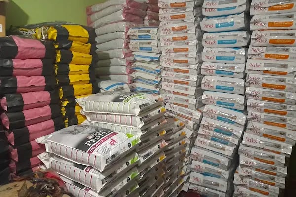ELFİDA PETSHOP - Resim 10
