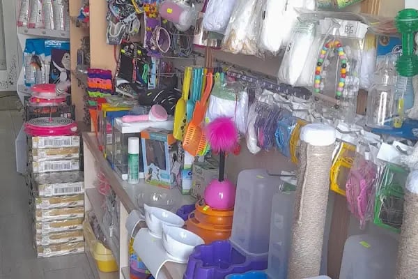 ELFİDA PETSHOP - Resim 2