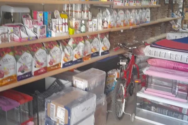 ELFİDA PETSHOP - Resim 3