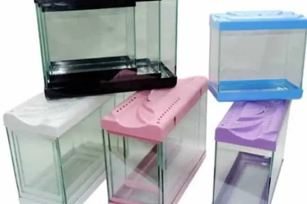 ELFİDA PETSHOP - Resim 12