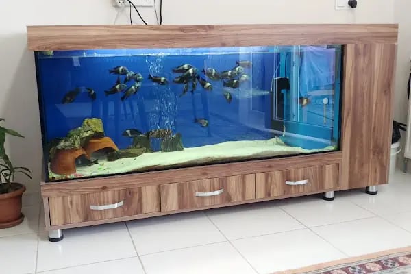 ELFİDA PETSHOP - Resim 11