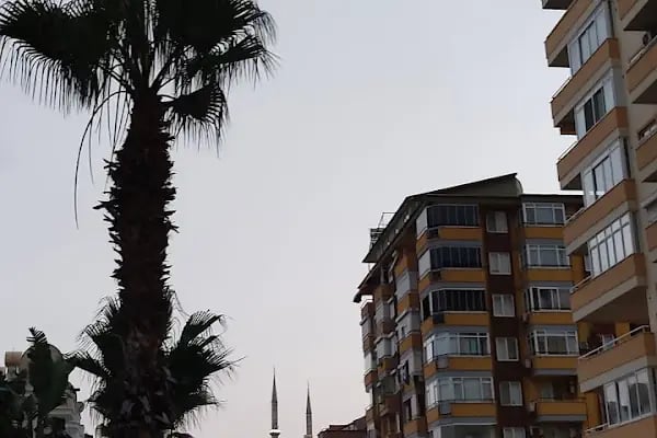 Alanya Tapu Sicil Müdürlüğü - Resim 10