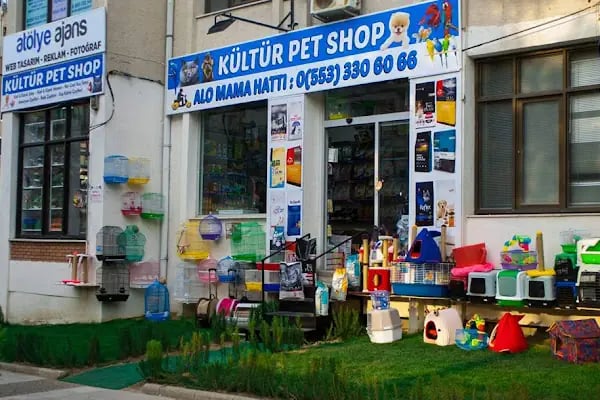 Kültür Petshop Alo Mama Hattı - Resim 5