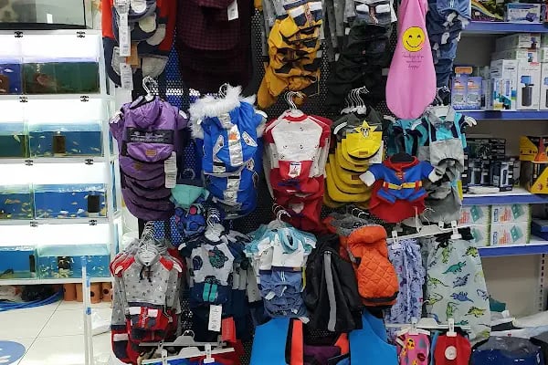 Kültür Petshop Alo Mama Hattı - Resim 11