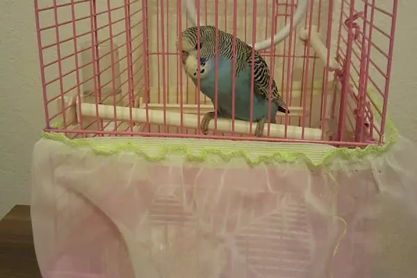 Kültür Petshop Alo Mama Hattı - Resim 9