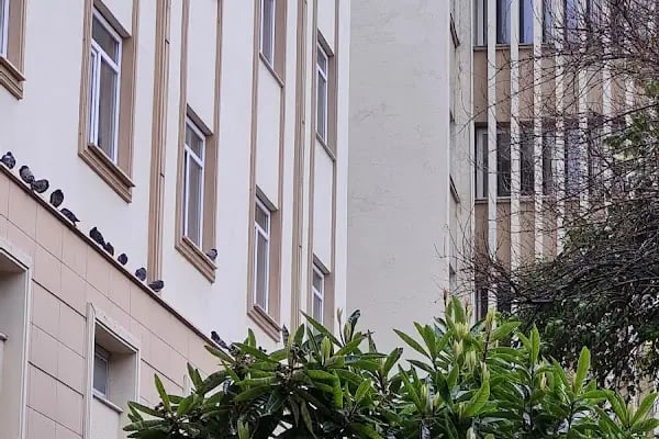 İzmit Seka Devlet Hastanesi - Resim 9