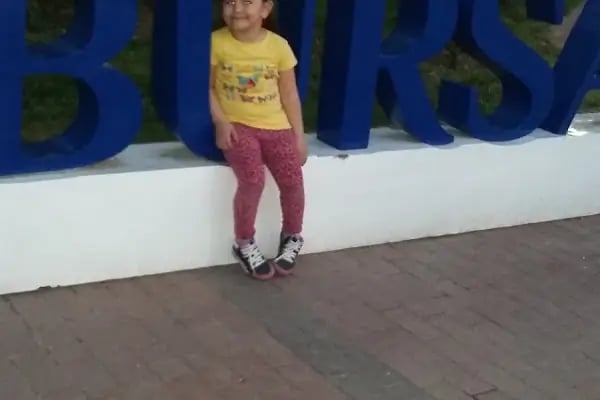 Engin Aile Çay Bahçesi - Resim 3
