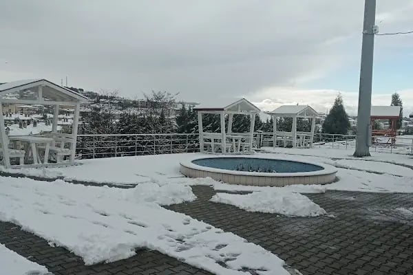 Botanik Park - Resim 8