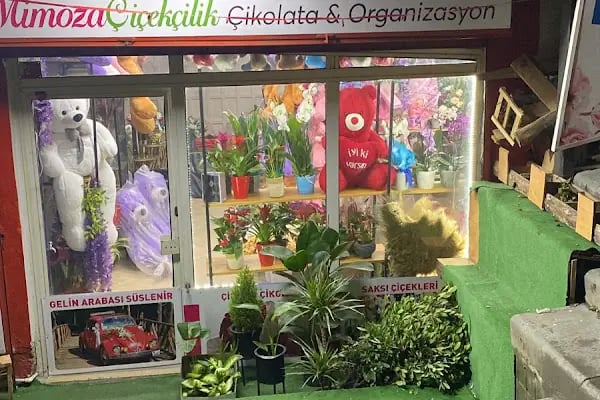 Arnavuköy Çicekci Mimoza Çiçekcilik - Resim 2