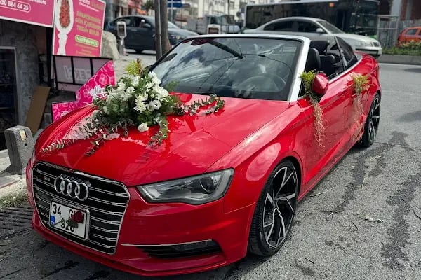 Arnavuköy Çicekci Mimoza Çiçekcilik - Resim 15