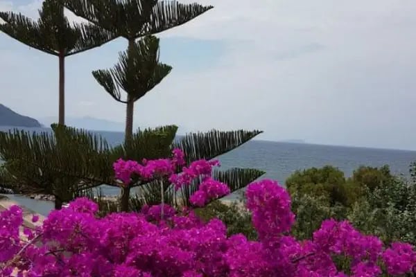 Synosse Hotel Turgutreis - Resim 8