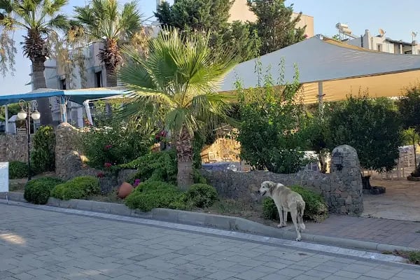 Synosse Hotel Turgutreis - Resim 5