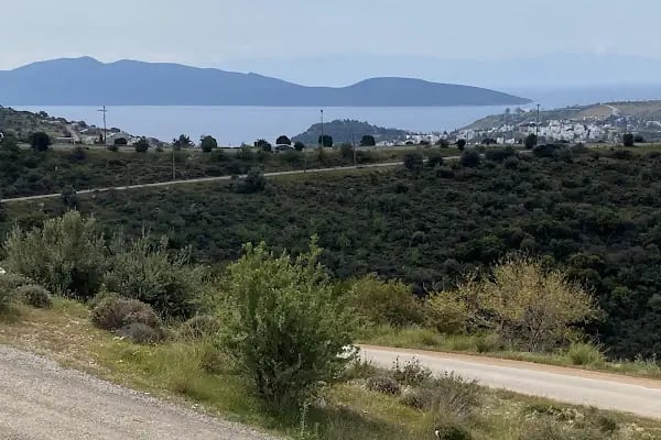 Pier Bodrum - Resim 5