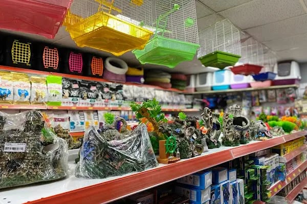 NİSA PETSHOP - Resim 2