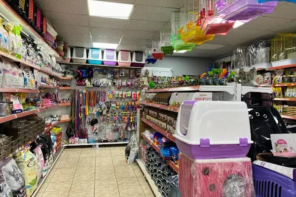 NİSA PETSHOP - Resim 1