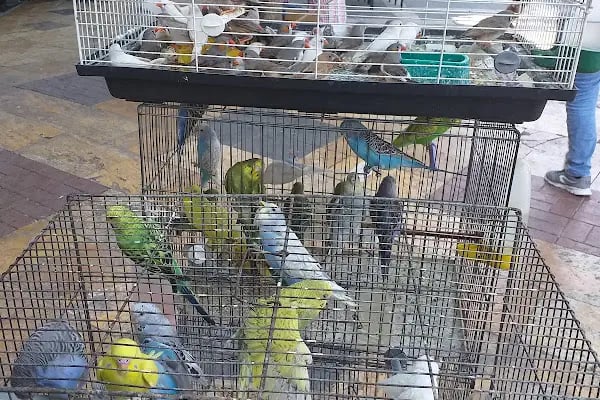 Catın Ticaret - Resim 13