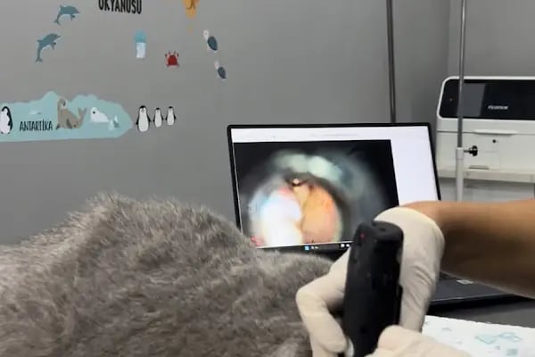 MyVet Veteriner Kliniği - Erzurum - Resim 10