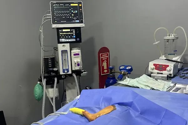 MyVet Veteriner Kliniği - Erzurum - Resim 6