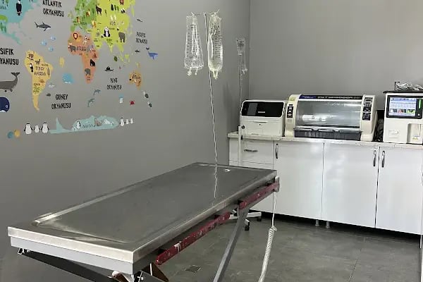 MyVet Veteriner Kliniği - Erzurum - Resim 15