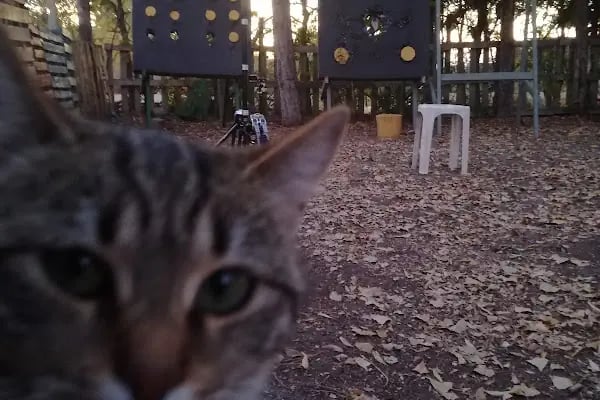 MyVet Veteriner Kliniği - Erzurum - Resim 12